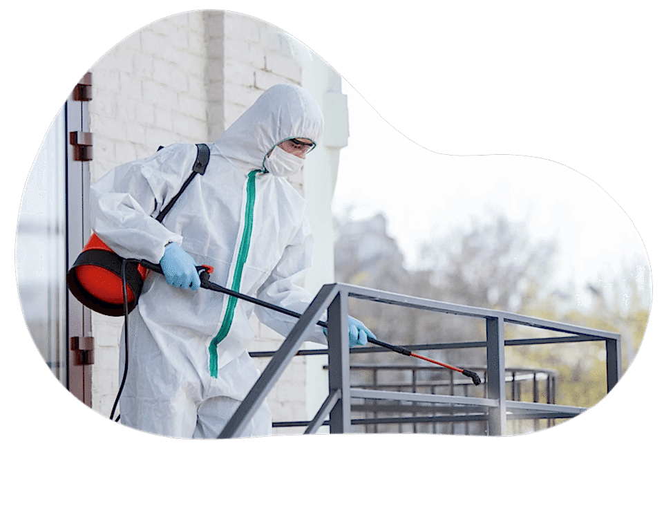 Sağlık Bakanlığı<br><span>Onaylı Ürünlerle </span>Haşere İlaçlama  Hizmeti